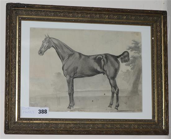 Drawing of a horse, with collectors mark 22 x 30cm.